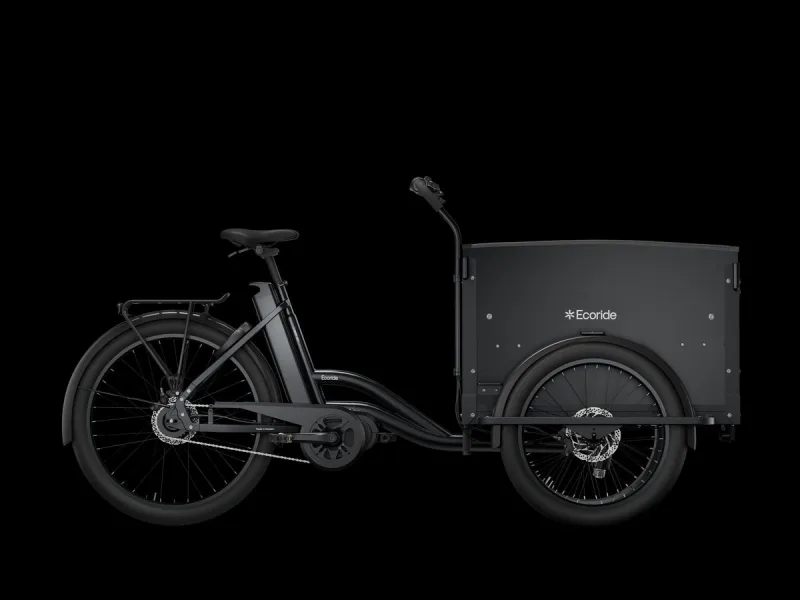 Ecoride Loader 401 v.1