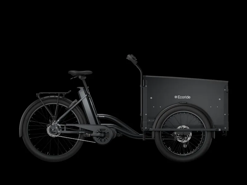 Ecoride Loader 401 v.2
