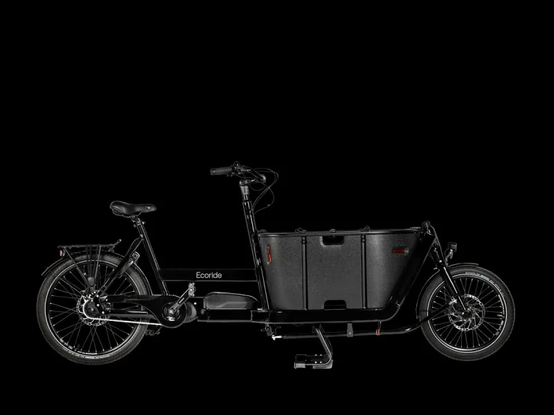 Ecoride Loader 421